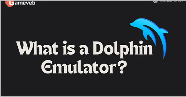 What is a Dolphin Emulator